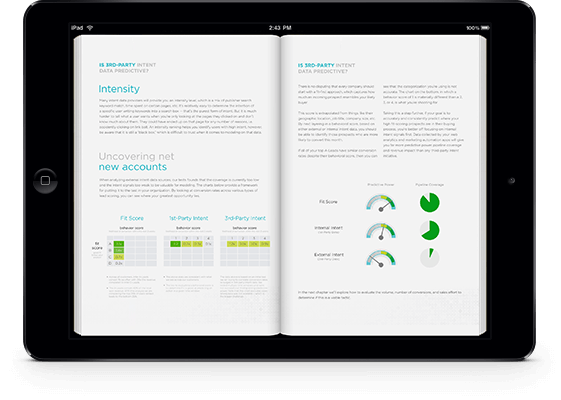 Ebook image on iPad